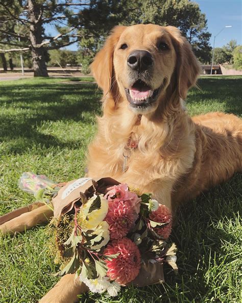 We'll never know ahead of time precisely when a stock market. August loves going to our local Farmers Market | Golden ...