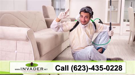 From skin irritation to reducing the value. Invader Pest Management | Bed Bugs, Rats, Termites ...