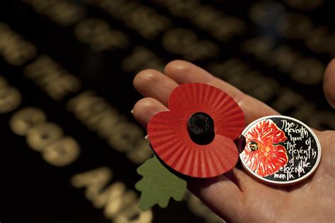 There's a story behind every royal british legion poppy, from blast injury studies to dementia care facilities for veterans. Remembrance Day | The Royal Mint | Remembrance day ...