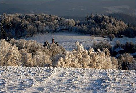 The skiing resort in polevsko is elevated 550 metres above sea level, between mount medvědín and polevsko. Ski Běžecký areál Polevsko - Fotografie