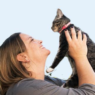 Do not forget to play one of the other great action games at gamesxl.com! Memphis Adoption Program | The Pet Hospitals