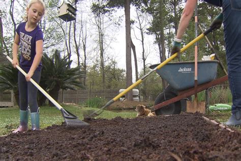 Check spelling or type a new query. Time to prepare your vegetable garden bed for planting