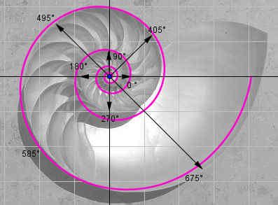 In wirbelstürmen und galaxien bringt die körperrotation spiralformen hervor: Logarithmische Spiralen - RSG-Wiki