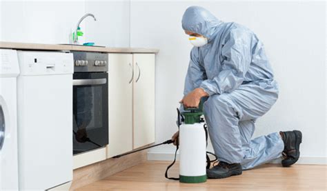 Bed bugs are bloodsucking parasites that spread quickly throughout your property and are extremely hard to notice and eradicate. Thrifty Pest | Pest Removal & Control Services in Ontario
