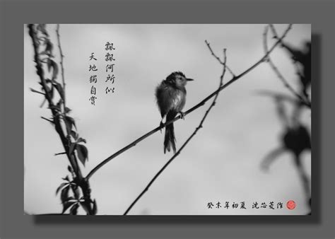 壬金口诀起课详细方法 易经64卦详解 紫微斗数入门常识 紫微斗数精成 八卦六爻预测入门 周易零基础入门教程 玄空六法 易经全文 奇门遁甲入门常识. 主 題
