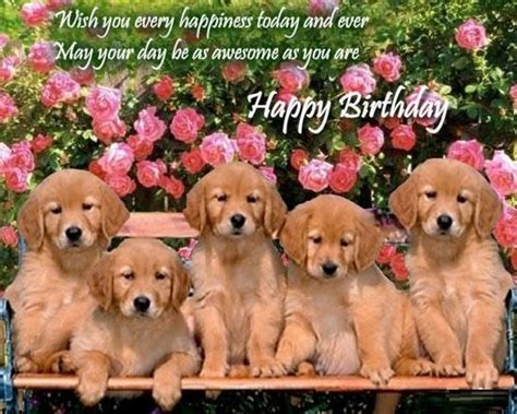 See more ideas about happy birthday puppy, dog birthday, dog birthday party. Happy Birthday Puppy - Cute Birthday Quotes for Puppies