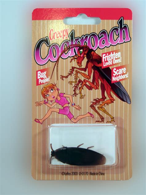 Find out which diseases cockroaches are known to spread and how to prevent them. 🖤 Bed Bug Cockroach Meme - 2021