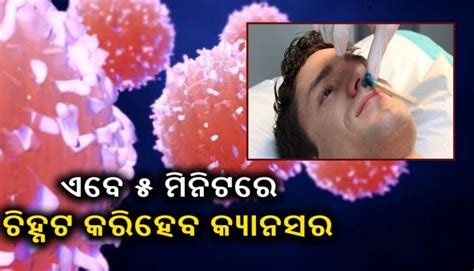 Throat cancer refers to cancer of the voice box, vocal cords, and other parts of the throat, such as the tonsils and the oropharynx. Know How To diagnose Throat Cancer within 5 Minutes ...