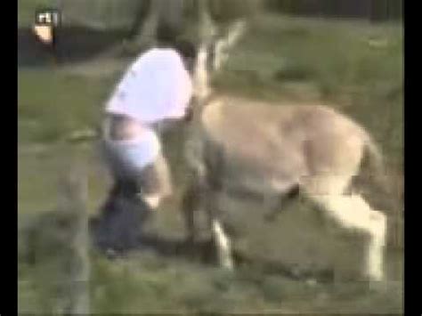 A motorist tries to answer the call of nature in an open field but an amorous donkey has other ideas! Gordo caga o burro tenta come o cu dele - YouTube