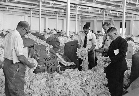 Case study 1 question 1 under the sale of goods act 1979, a contract of sale is a contract where a seller transfers or agrees to transfer goods. - Australian Journal of Biography and History: No. 2, 2019 ...