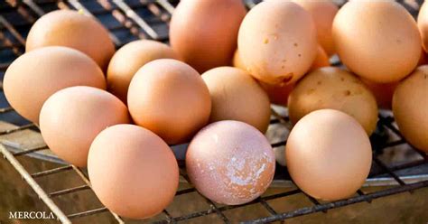 Therefore, eating foods that are high in choline is essential to promote total wellness and improve cognitive and muscle function. Have You Tried Grilling Eggs for Essential Choline?