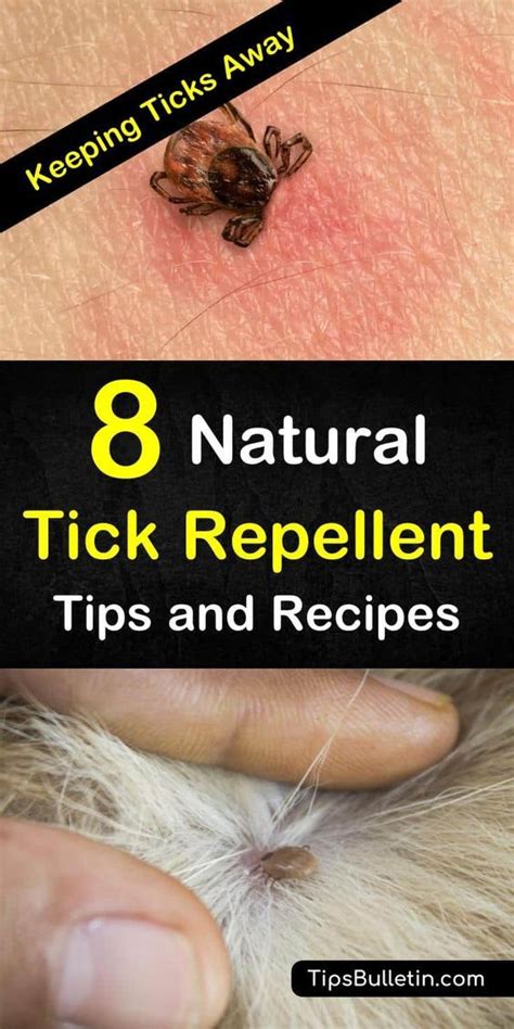 Maybe you would like to learn more about one of these? 8 Easy & Effective Tick Repellent Solutions | Tick ...