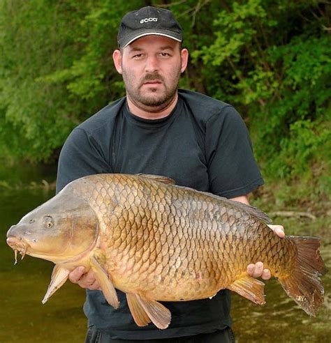 Majestätisch eingebettet inmitten der natur, hat man die forelle ist hier der hauptsächlich gefangene fisch. STAUSEE OTTENSTEIN | Zwettler Fischerstammtisch