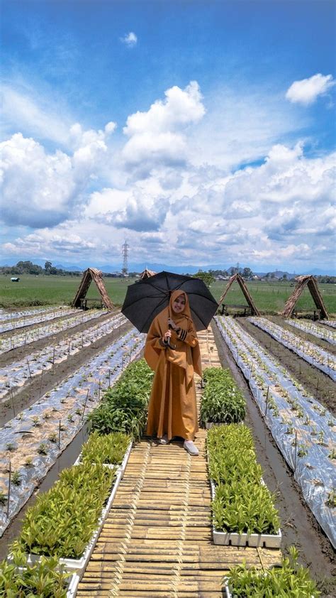 Gambar perpaduan warna yg cocok. birunya langit dan hijaunya sawah merupakan perpaduan ...