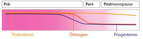 Der übergang von der vollen geschlechtsreife bis zur tatsächlichen menopause erfolgt schleichend und erstreckt sich über mehrere jahre. Wechseljahre / Klimakterium » Körper & Sexualität ...