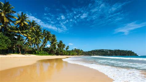 Hotels near national zoological gardens of sri lanka. Top Seven Beach Resorts in Sri Lanka | TransIndus
