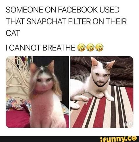 An attorney in west texas received some unexpected attention during a zoom call that involved the face of a friendly cat.during a virtual court proceeding. SOMEONE ON FACEBOOK USED THAT SNAPCHAT FILTER ON THEIR CAT ...