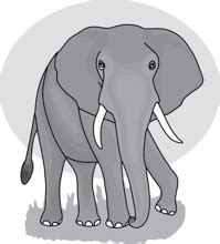 Black tusk clipart free download! Search Results for tusk - Clip Art - Pictures - Graphics ...