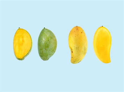Learn about the health risks and benefits of eating the mango skin or peel. Can You Eat Mango Skin?