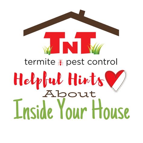 Pest control specialists have management strategies designed to solve most pest control problems. TNT Termite & Pest Control | Valrico, FL & Surrounding ...