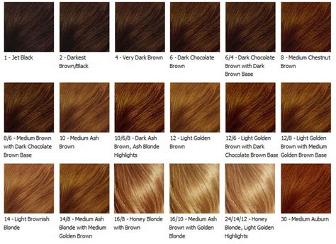 Brown hair color shades are the choice for anyone looking to be made over, but without making drastic changes. Coffee, Milk & Brownsugar by Mama C's: Finding your ...
