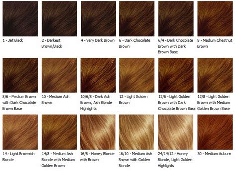 Truly, coffee brown shades work really well with caramel highlights for dark brown hair is not only add colour but also can turn the look to be more. Coffee, Milk & Brownsugar by Mama C's: Finding your ...