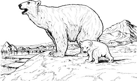 Maybe you would like to learn more about one of these? Free Printable Polar Bear Coloring Pages For Kids