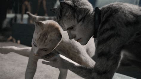 If you want to watch cats 2019 online, here's everything you need to watch the movie based on the popular musical including streaming services and prices. CATS: Release the Butthole Cut. - The Something Awful Forums