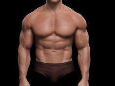 Learn about torso muscles with free interactive flashcards. 1000+ images about Anatomy - Torso and Back on Pinterest ...