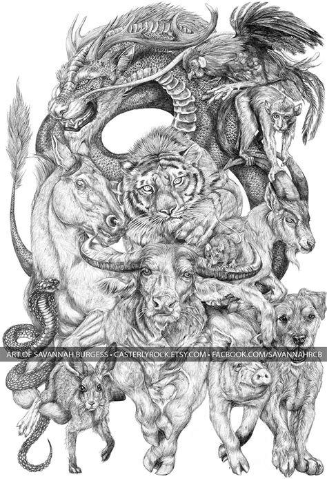 How to draw animals book. 19-Year-Old Artist Spent All Summer Creating This Massive Chinese Zodiac Drawing | DeMilked