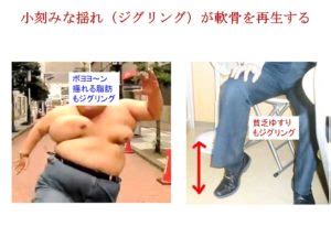 貧乏ゆすりが変形性股関節症に効く理由 - 戸田整形外科 ...