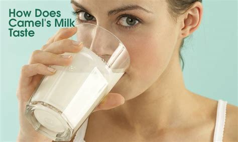 It comes in flavors such as mint and wintergreen. Health Benefits of Camel's Milk You Didn't Know About