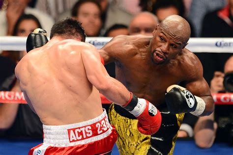 Floyd mayweather net worth 2020 and career earnings: Mayweather vs Guerrero results: Floyd dominates for 12 ...
