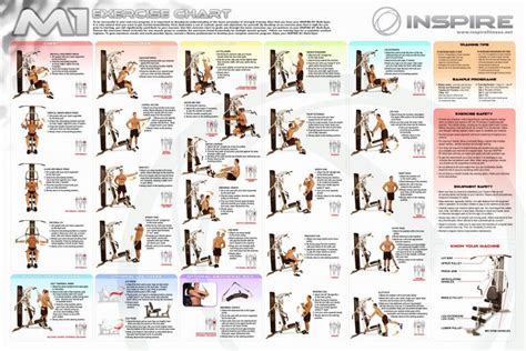 You get a free illustrated printable along with this workout plan for beginners!. Total Gym Exercises Pdf Beautiful Workout Plans for ...