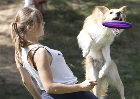 O lançamento de disco foi incluído nos jogos olímpicos de atenas, em 1896. G1 - Rússia promove campeonato canino de lançamento de ...