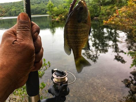 Harriman state park cabins can be rented as a comfortable and accessible way to enjoy the park. Fishing Lake Tiorati - Harriman State Park - outdoorCLIQUE