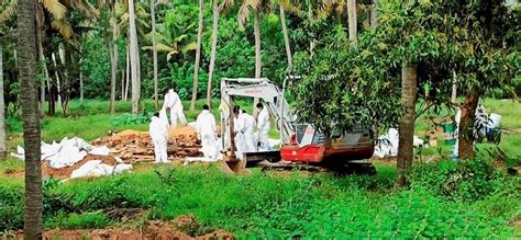 Russia on saturday reported the world's first case of transmission of the h5n8 strain of avian flu from animals. Bird flu outbreak: Centre sends team to Kerala; migratory ...
