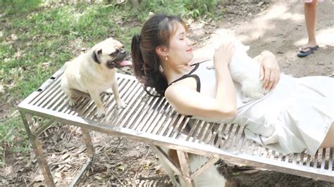 A baby bathtub will help you prop up a wriggling newborn. Lovely smart girl Playing Baby Cute Dogs On Rice Fields ...