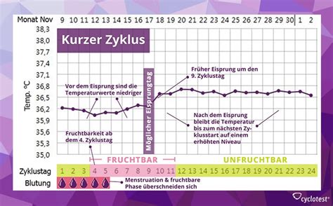 Hoffentlich ist das jetzt nicht jedesmal so, wenn ich auf der rechten seite einen eisprung habe. ᐅ Kann man während der Periode schwanger werden? | cyclotest