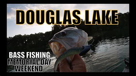 Every angler is unique, with their favorite techniques, baits, and locations. DOUGLAS LAKE: Hot Early Summer Bass Fishing - YouTube