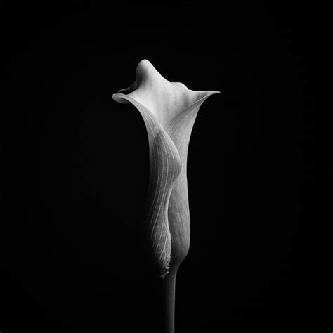 Check 'sensuality' translations into russian. Top Abstract Photographers On ePHOTOzine | ePHOTOzine