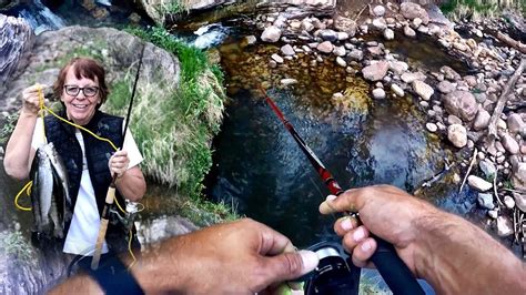 Lake levels low this year due to lack of winter and spring snowfall, but fishing should still continue to be good. Woods Canyon Lake | Arizona Trout Fishing - YouTube