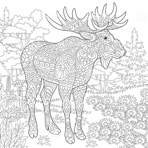 Toddlers, preschool, kindergarten and elementary school grades. Coloring page of moose, woodland animal. Forest landscape ...