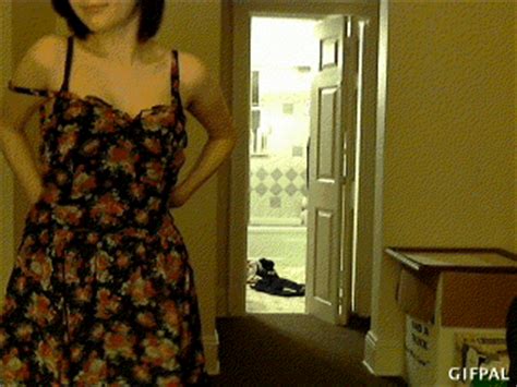 Andi emo teen strip talking. /gif/ - Snorl4x gone? - 4chan