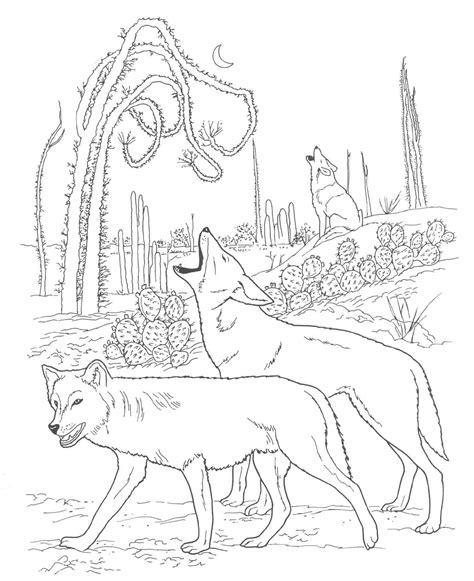 Free printable coyote coloring pages. Free Printable Coyote Coloring Pages For Kids