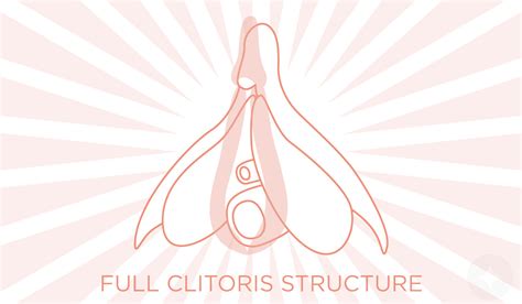 Sexual stimulation is any stimulus (including bodily contact) that leads to, enhances and maintains sexual arousal, and may lead to orgasm. What is a Blended Orgasm? A Pleasure Guide to Orgasms | Le ...