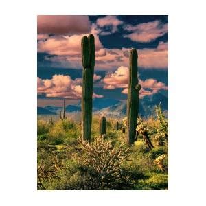 R explains how saguaro cactus are an important part of the sonoran desert ecosystem. Phoenix Arrow Sign from Apache Junction Painting by John ...