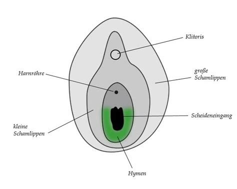 Schmerzen beim einführen von tampons? Schwanger als Jungfrau (Seite 3). Cyberdoktor ...