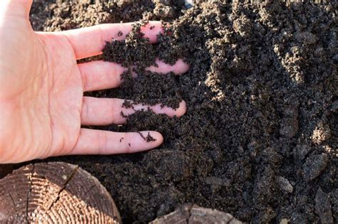 Moss gardening explained including the best types of moss for your garden and how to plant a moss garden the easy way. Learn How to Use Peat Moss | How to guides, tips and tricks