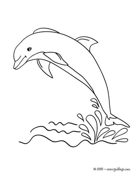 Today, we recommend dolphin coloring pages printable for you, this post is similar with disney spring coloring pages. Delfin Para Colorear (With images) | Dolphin drawing ...